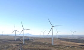 WindFarmer: Analyst - 风资源评估软件