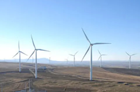 WindFarmer: Analyst