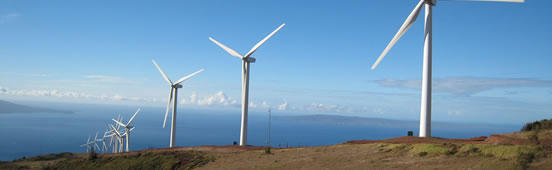 Wind turbine type certification