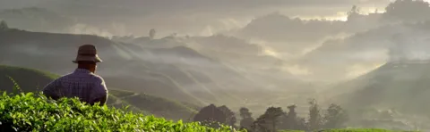 Research Review 2021