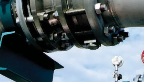 Planificación y gestión de la Inspección basada en el riesgo