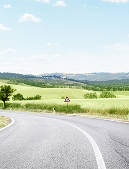 Professionellt ramverk