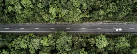 road in the forest