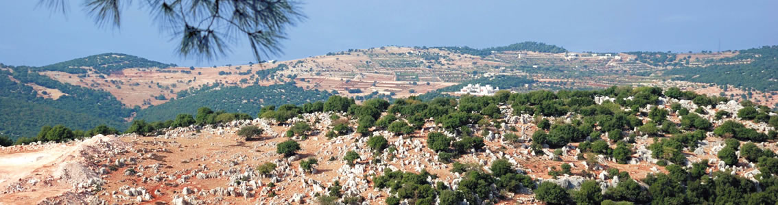 Rural Areas Electricity Company