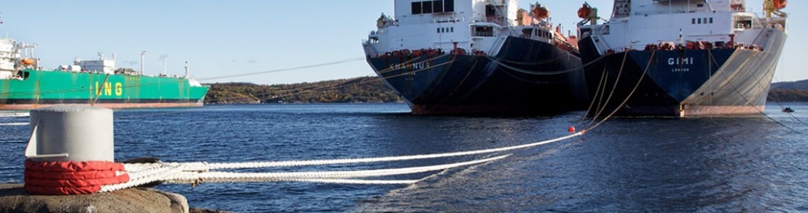 Safe and cost-efficient lay-up of vessels