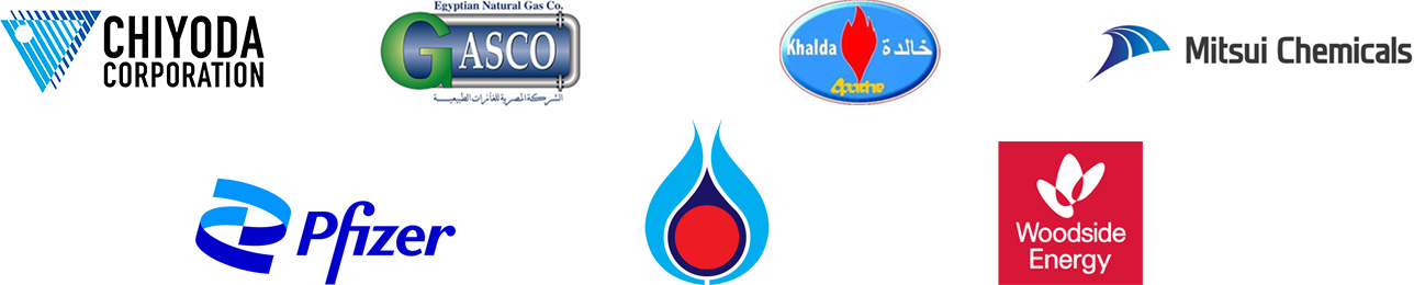 Safeti - Quantitative risk analysis software - customer logos