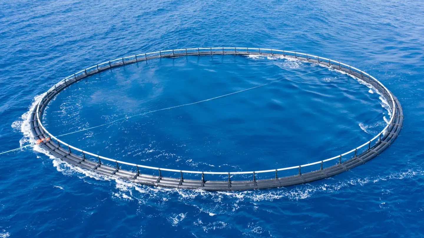 Overhead view of circular aquaculture sea cages in open water used for environmental data monitoring.