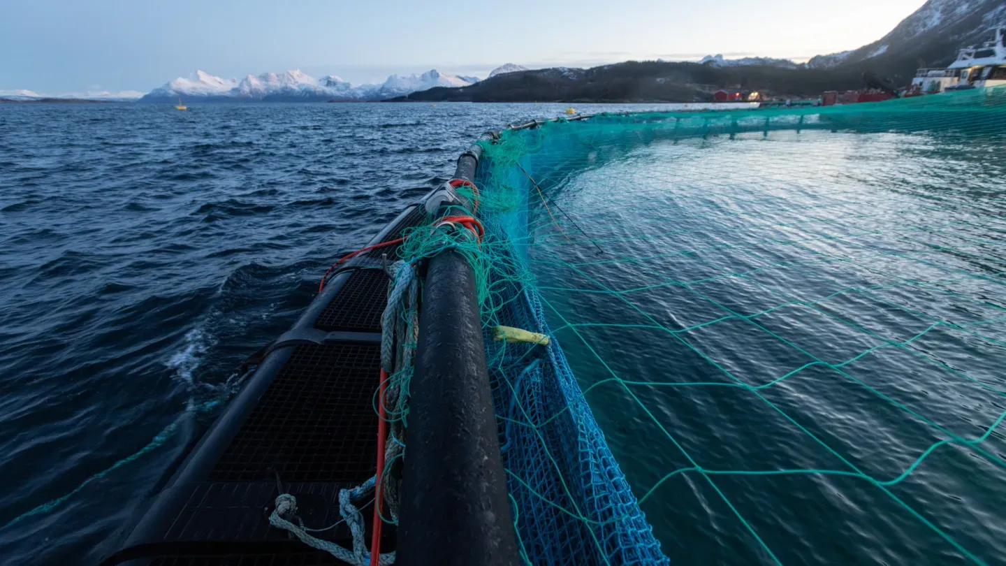 Aquaculture net pen system in open water used for modelling current, wave, and environmental conditions