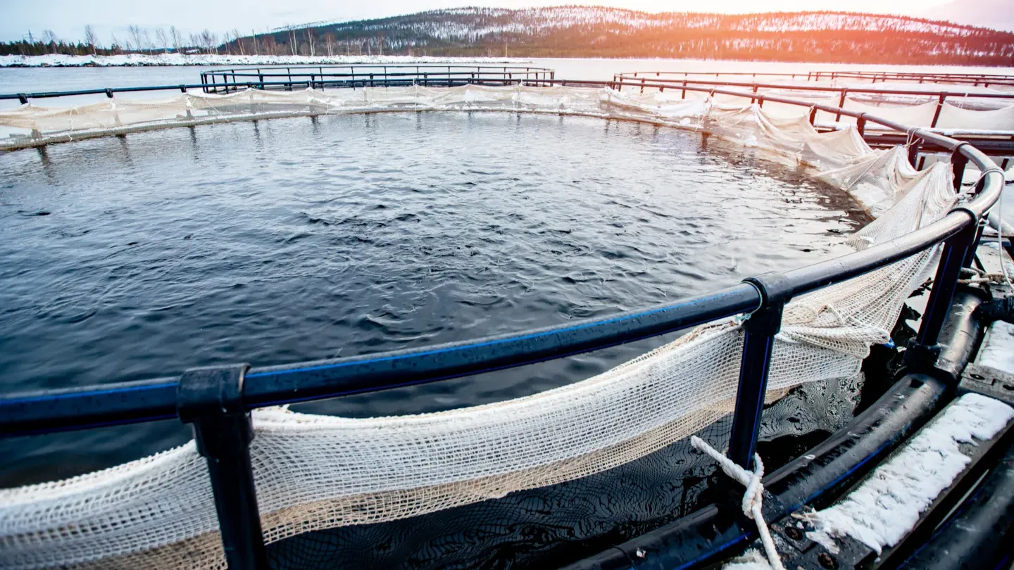 Winter aquaculture fish pen with circular cage infrastructure under operational testing