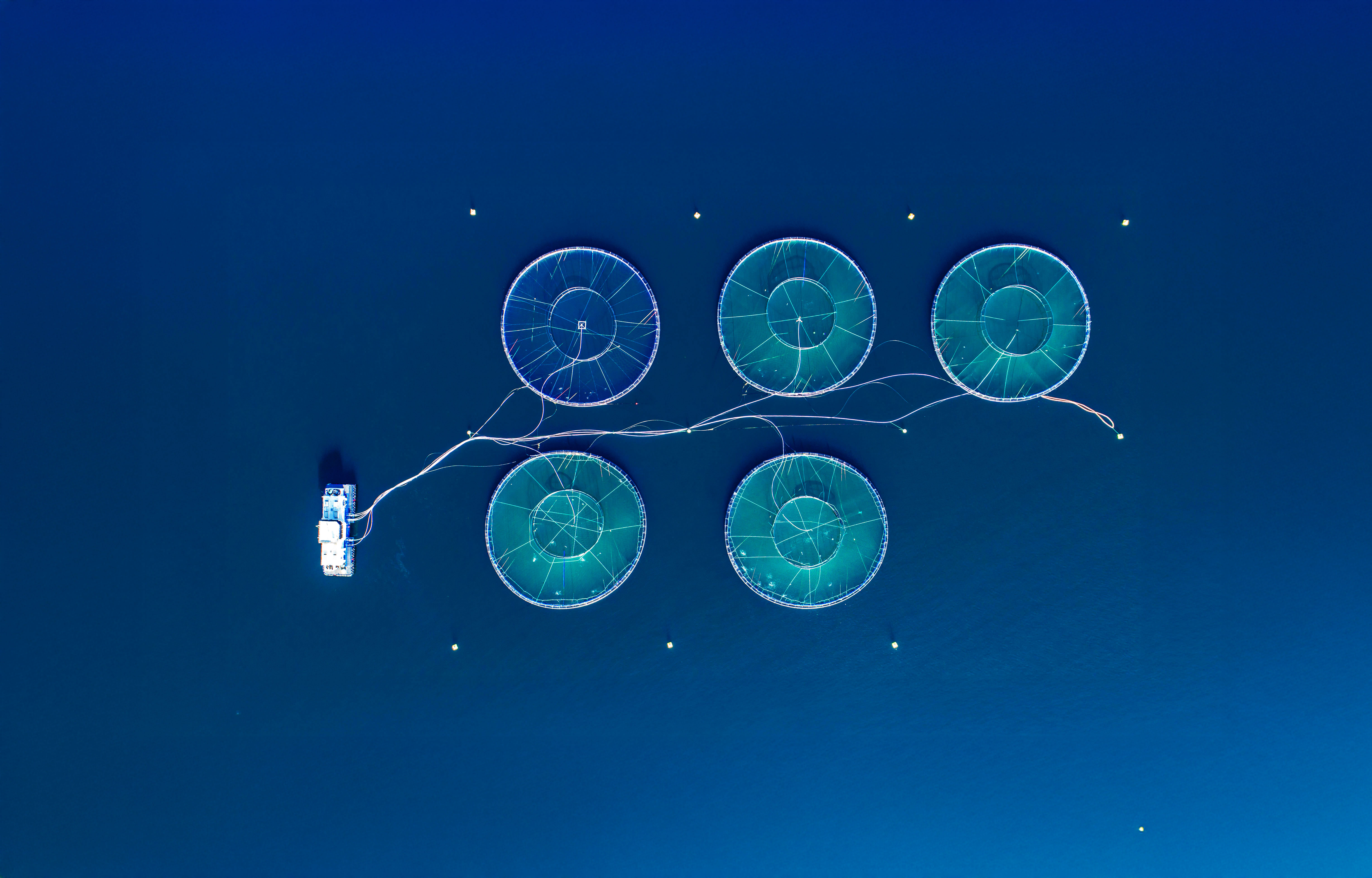 Aquaculture infrastructure & farm technology