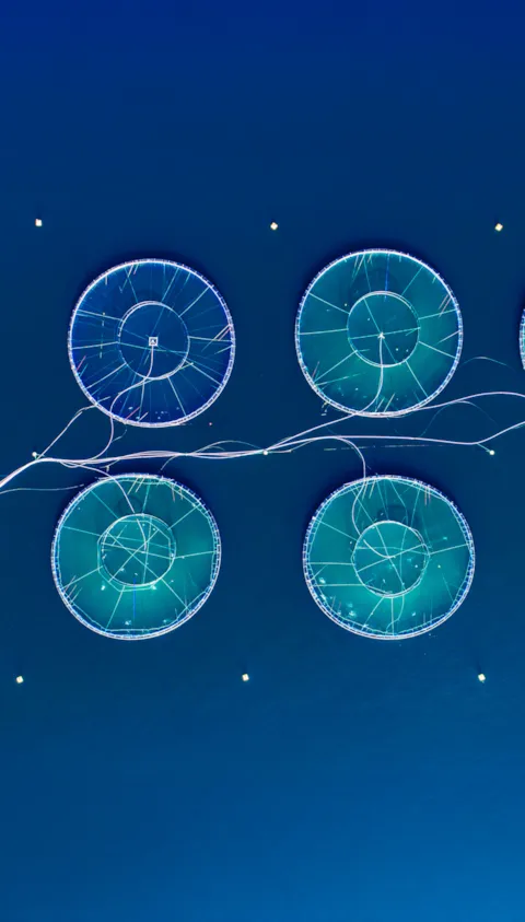 Aquaculture infrastructure & farm technology