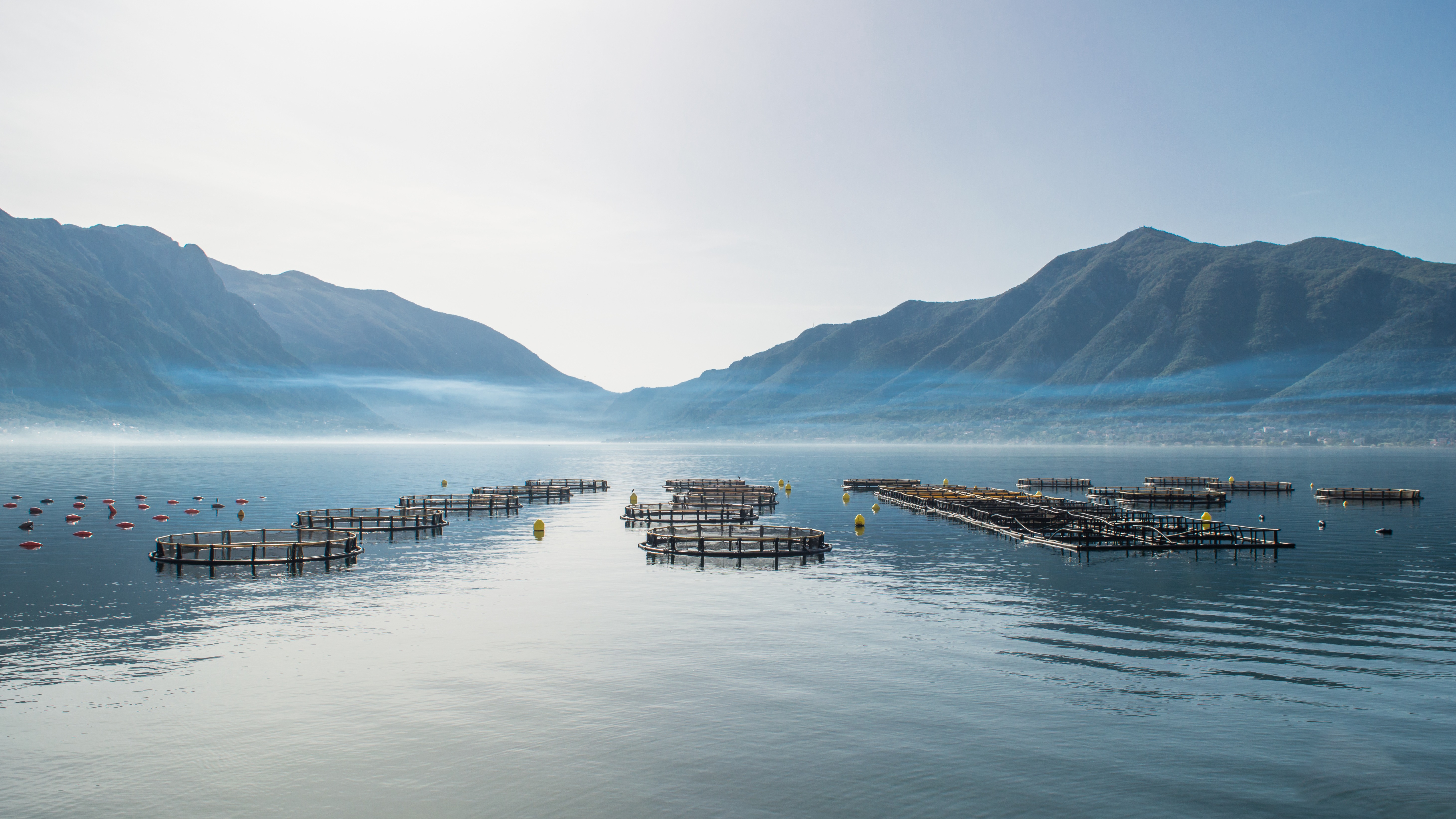 Aerial aquaculture facility with farming cages and support vessels, illustrating certified marine infrastructure operations