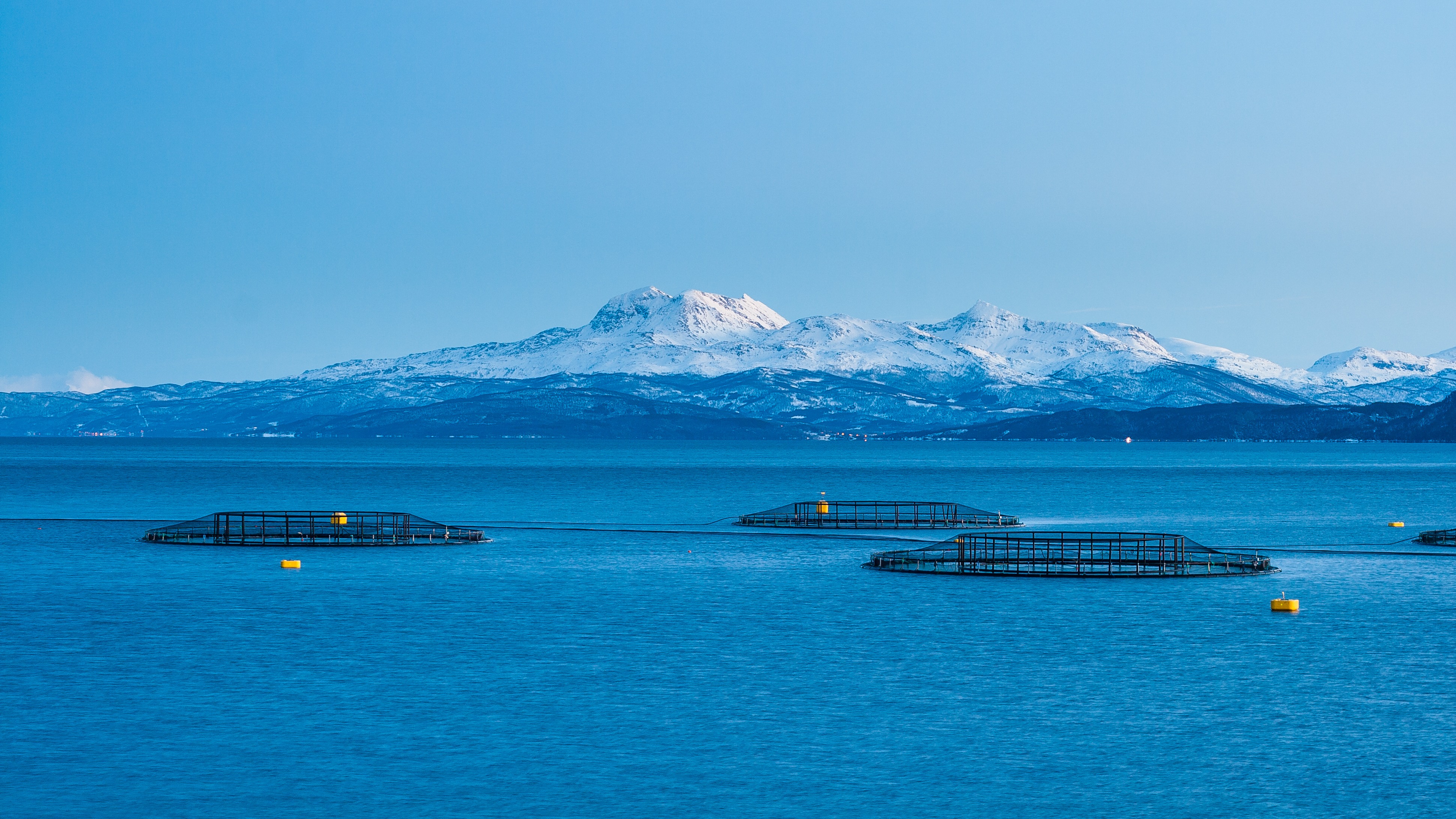 Aquaculture vessels operating around offshore fish pens during inspection and certification activities