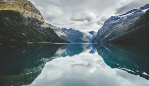 Conditional survey services: Marine, freshwater & terrestrial