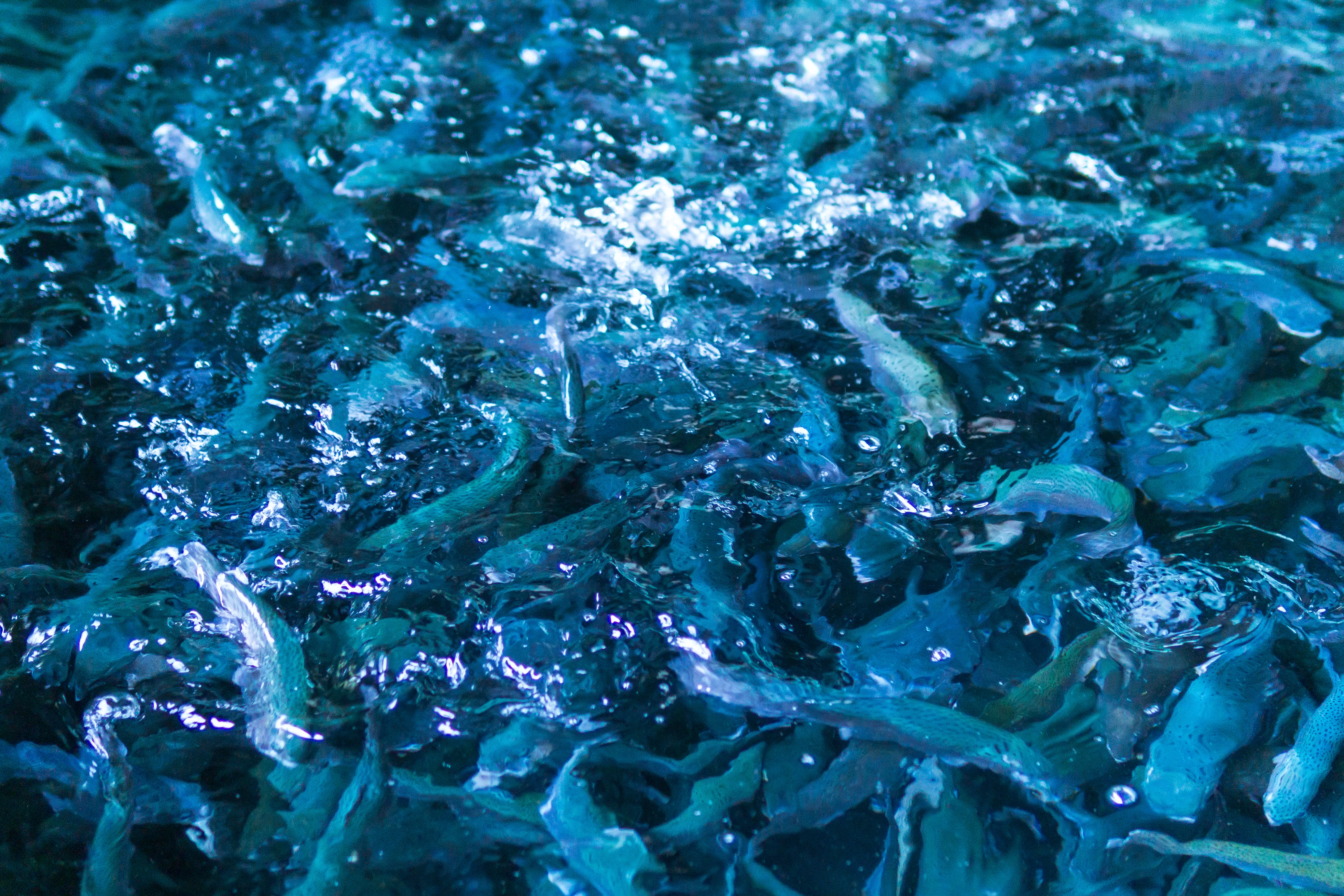 Environmental data solutions