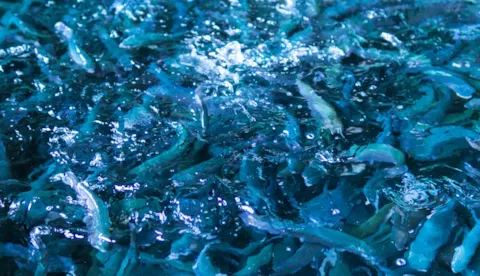 Environmental data solutions