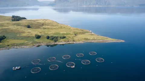 Marine aquaculture pens beneath mountains and coastal habitat