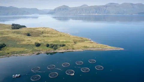 Habitat survey for marine, freshwater and terrestrial sites