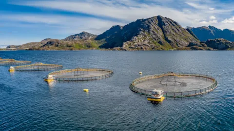 Aquaculture marine pens with mountains during environmental monitoring