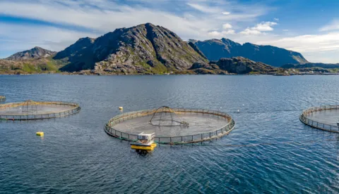 Environmental monitoring and compliance