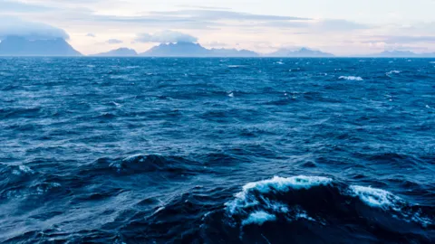 Coastal aquaculture location with ocean currents representing site selection, feasibility assessment, and environmental compliance