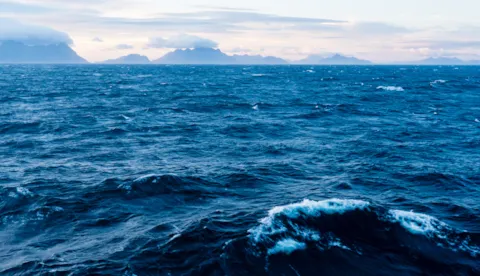 Aquatic site feasibility and compliance