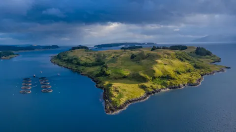 Aerial view of aquaculture installations near a coastal island