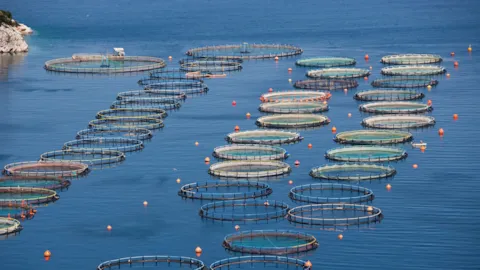 Offshore aquaculture cages demonstrating emerging technologies for closed and semi-closed systems