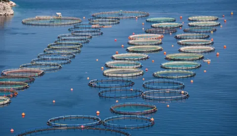 Innovative aquaculture technologies: Offshore, Semi-Closed & Closed Systems