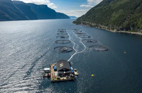 Sea Lice Monitoring of Tomorrow - The Potential of Automated Sea Lice Counters