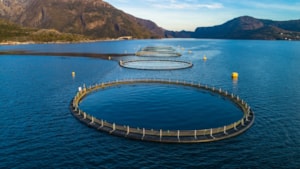 /siteassets/images/scpa/aquaculture/smarter-compliance-is-built-to-meet-these-challenges.jpg
