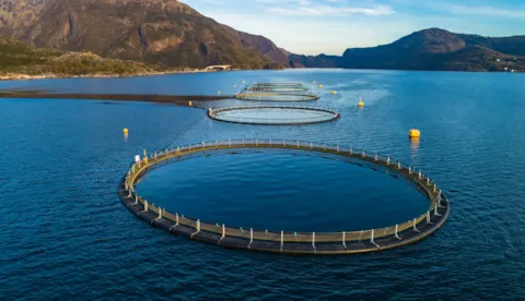 Smarter compliance for aquaculture