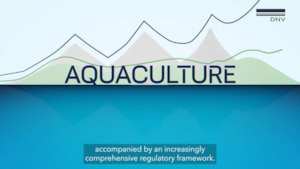/siteassets/images/scpa/aquaculture/smarter_compliance_for_aquaculture_eng_16_9.png