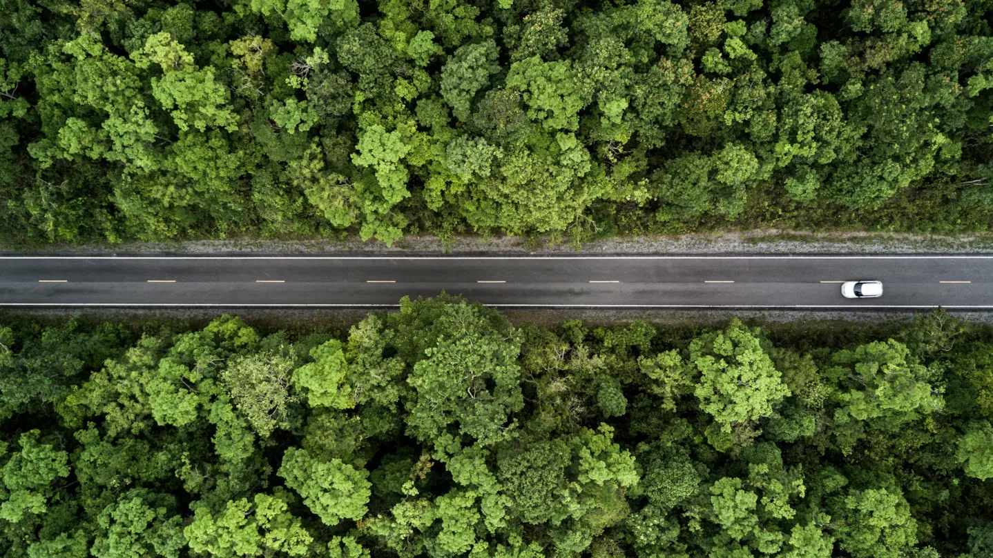 Aerial view of a straight road through dense forest, symbolizing clarity and alignment across the automotive development process