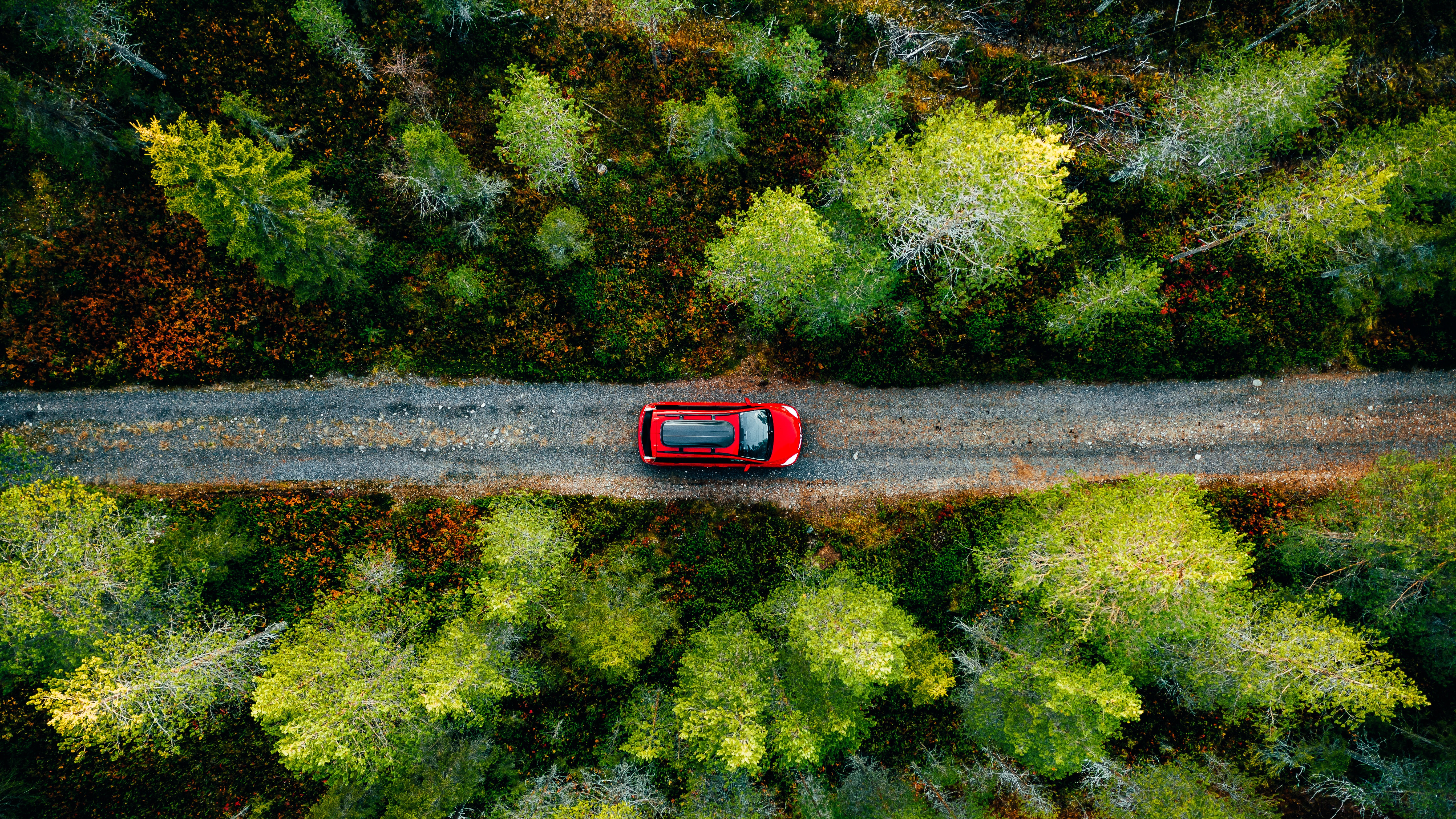 Overhead view of a red car driving along a narrow road through dense green forest, symbolising a guided, optimised path for automotive software processes