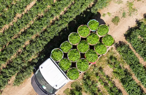 Download the 2024 Sustainable Food Supply Chain Report