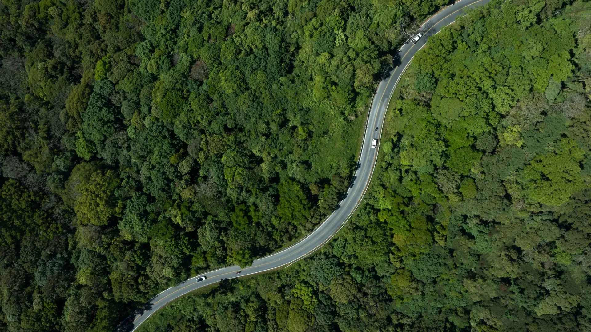 Aerial view of a winding road through dense green forest, symbolizing carbon reduction pathways and nature-based climate strategies