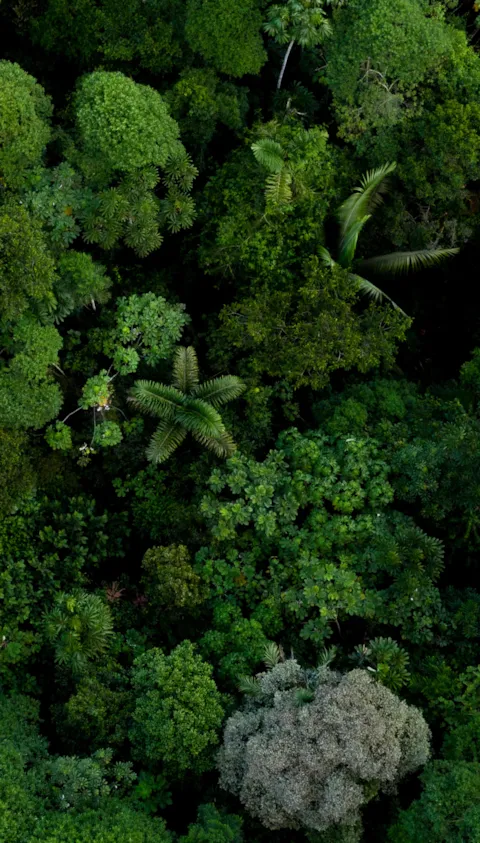 Climate change & carbon footprinting services