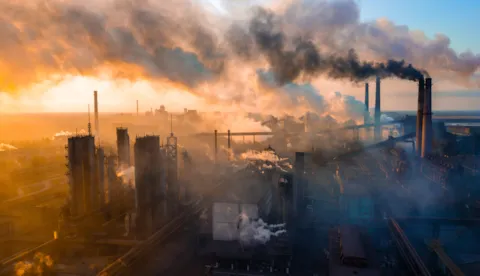 Carbon credit development