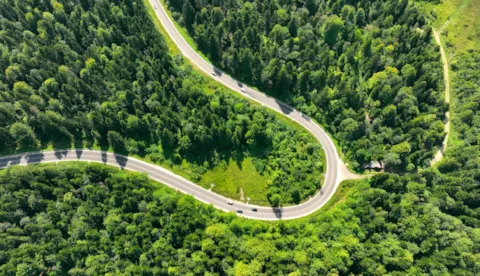 Decarbonization road mapping and strategy