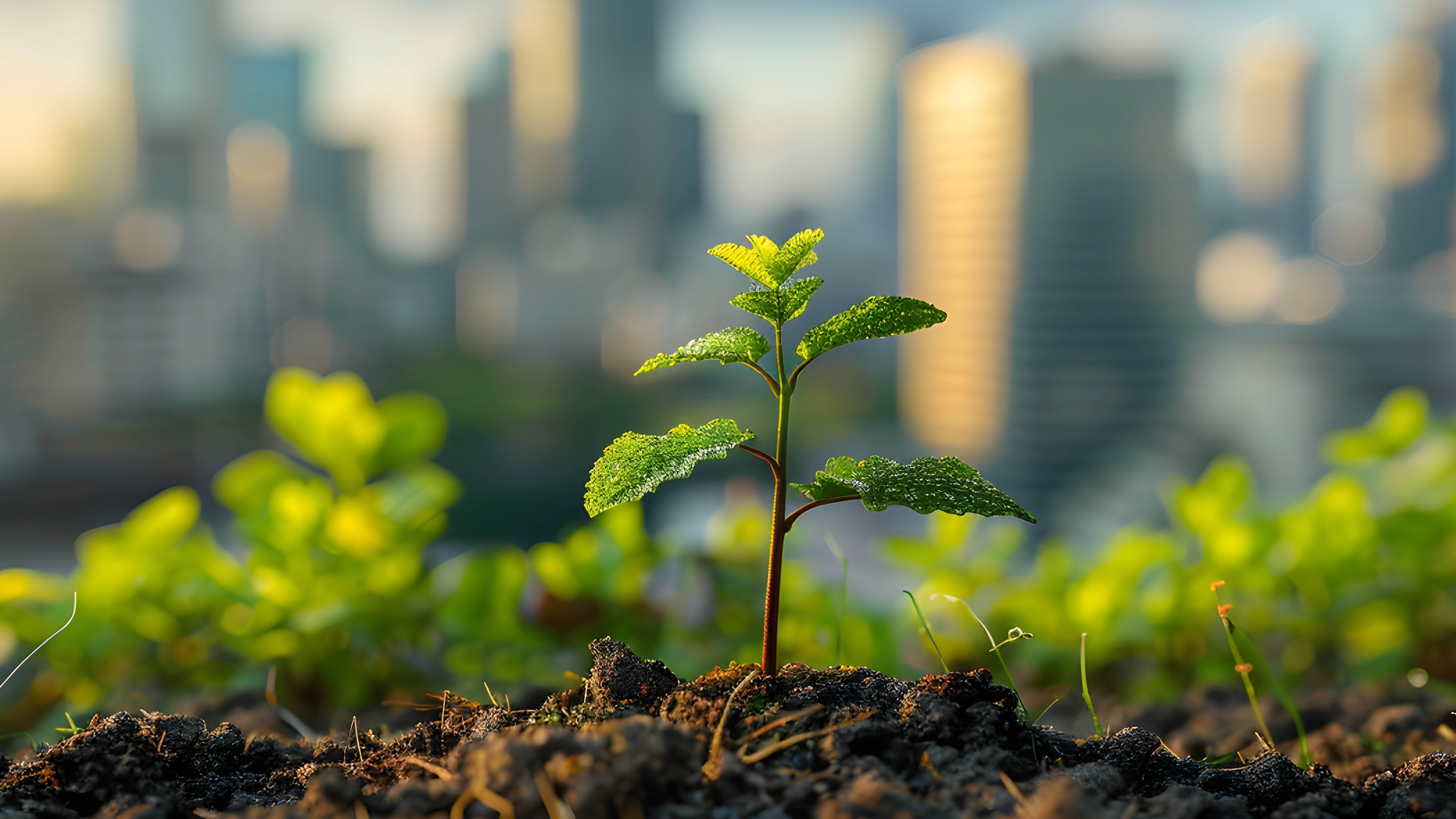 Global perspectives on ESG and decarbonization