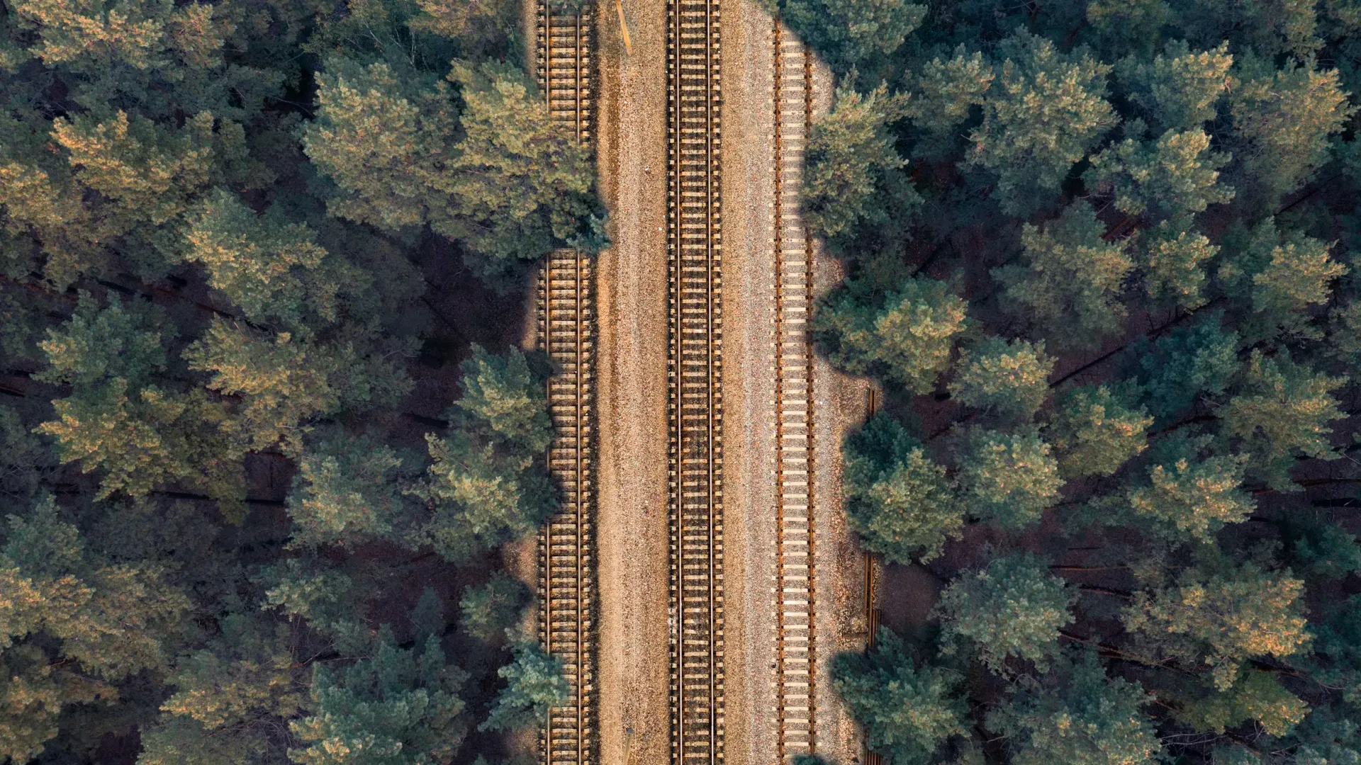 Aerial view of a forest railway line representing secure and resilient rail infrastructure