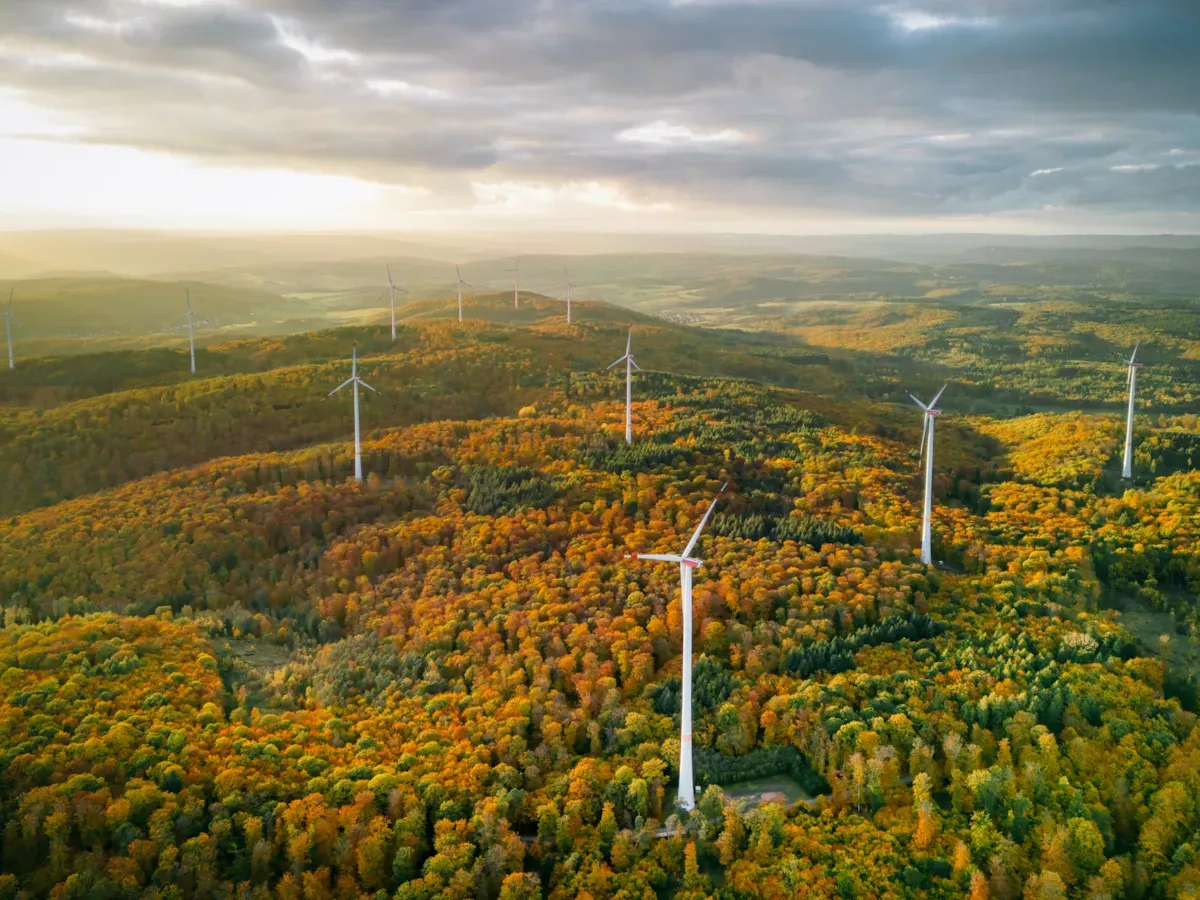 Aerial view of green fields and winding river, representing reliable sustainability assurance and ESG performance evaluation.