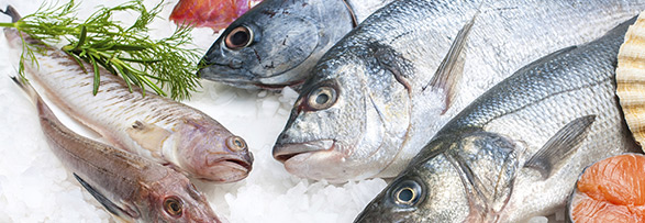 Seafood Services