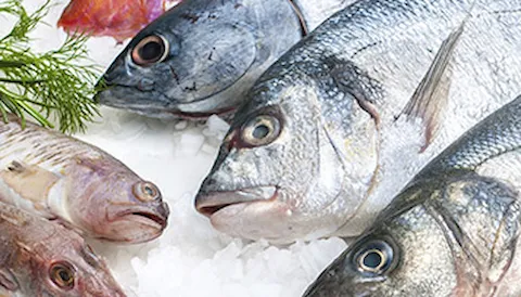 Services for the seafood industry
