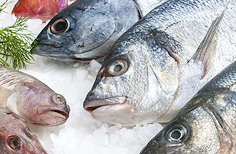 Seafood Services