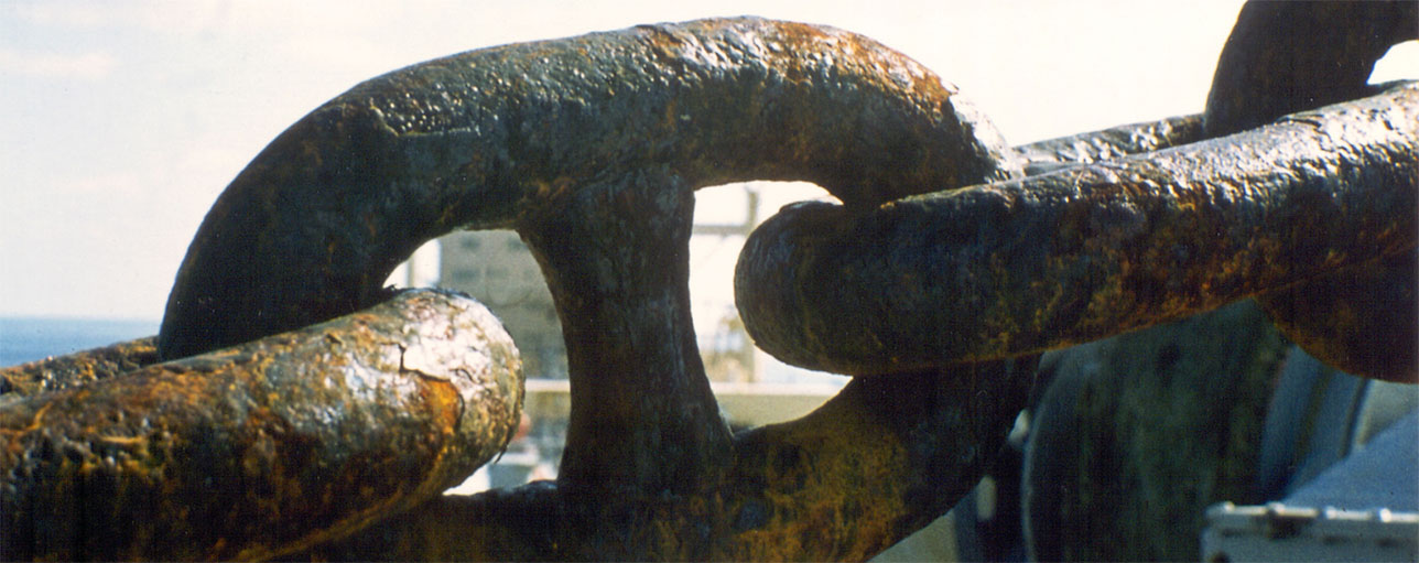 Seamless™ Management Systems