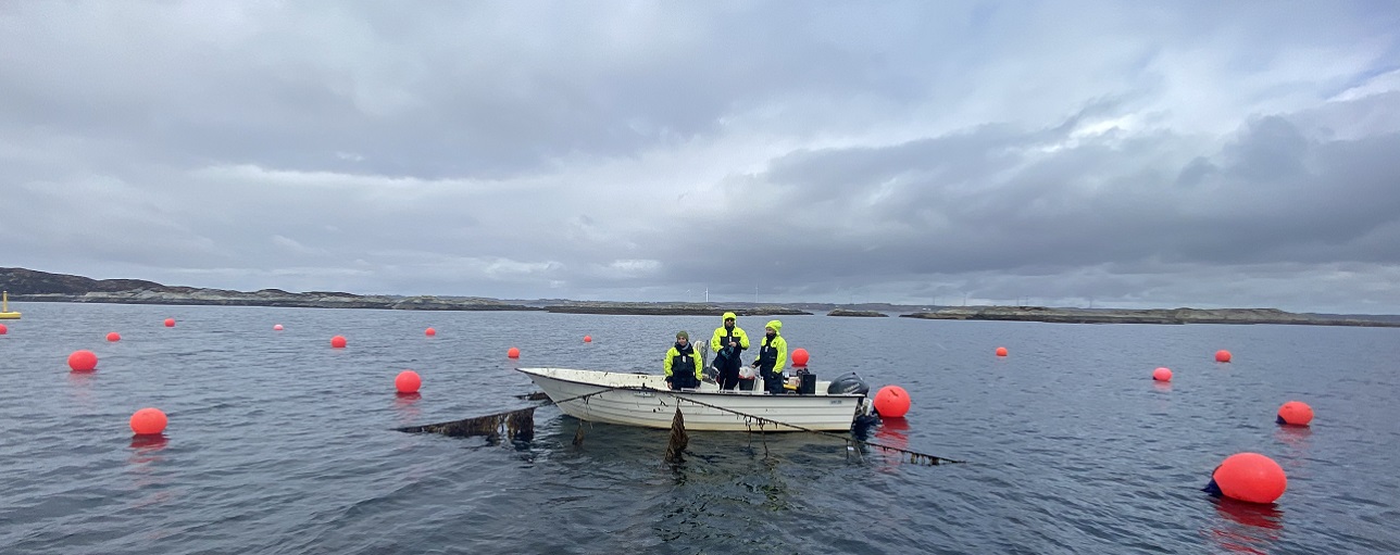 Seaweed Carbon Solutions