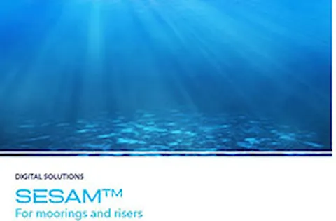 Sesam for moorings and risers