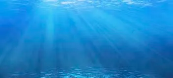 Sesam for moorings and risers